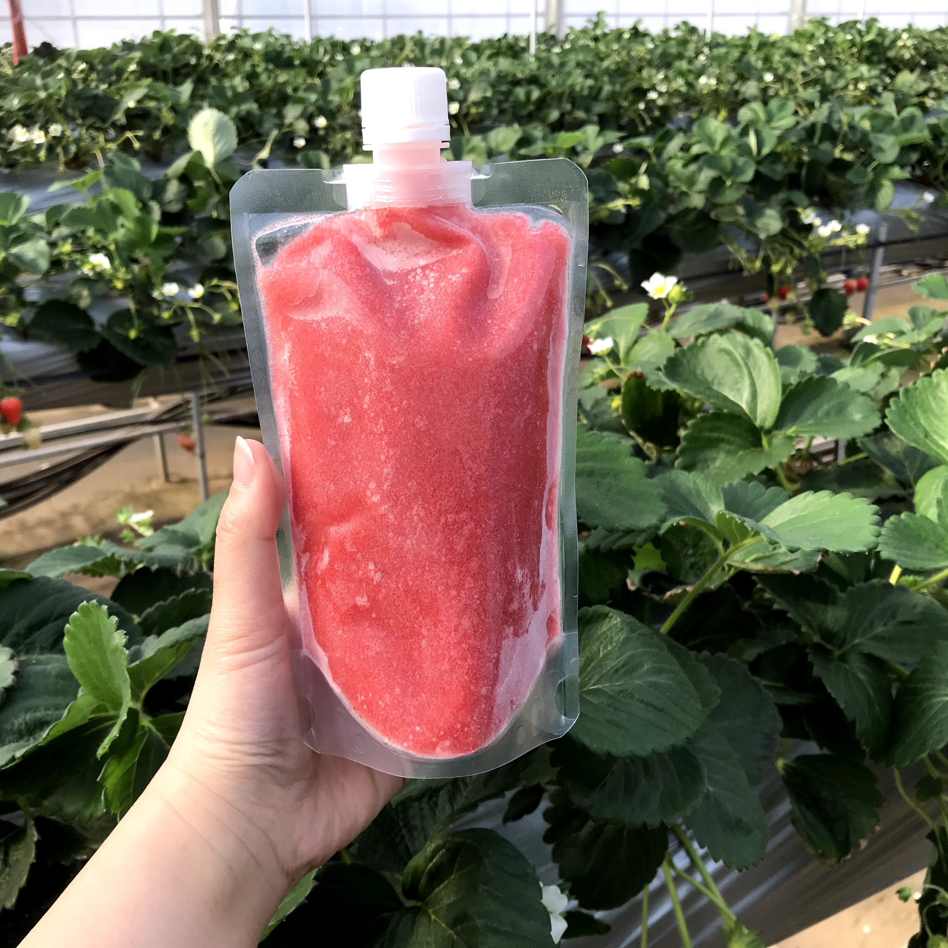 農家さん応援 ～恋する完熟イチゴのスムージー～