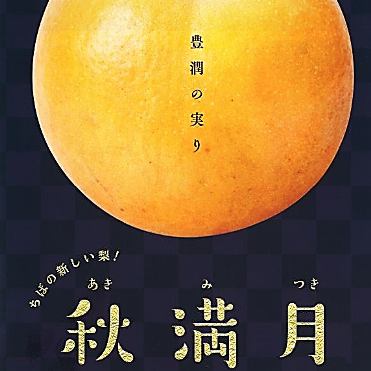 マレーシア・香港向けに千葉県産の新品種の梨「秋満月」を初輸出しました。
